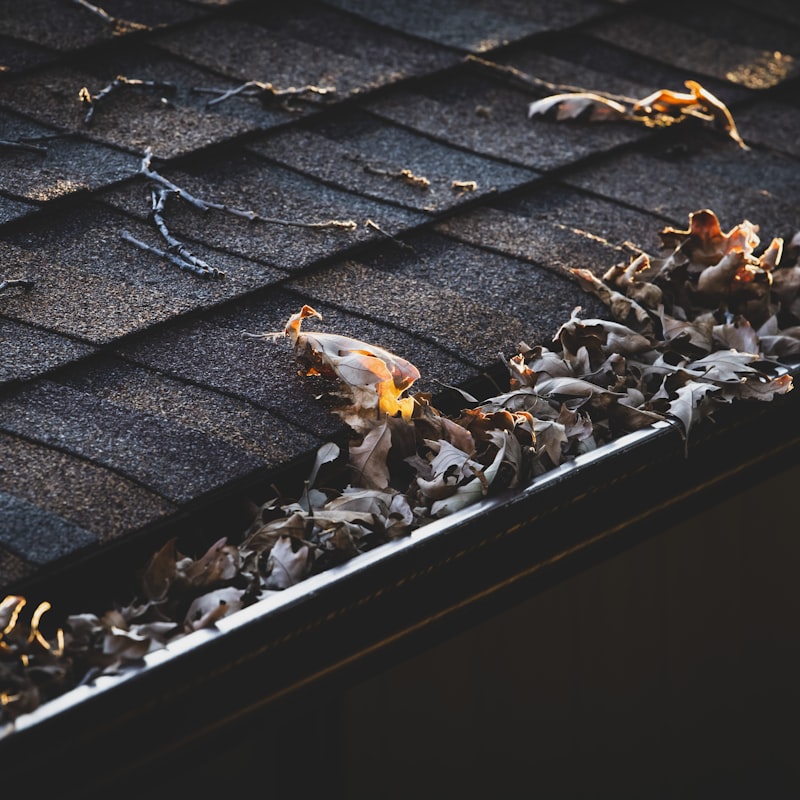 Gutter cleaning service