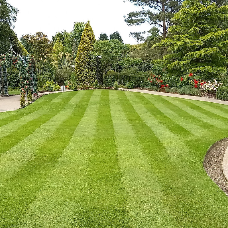 Professional lawn mowing